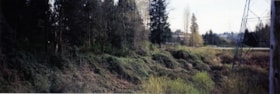 Stoney Creek surrounds, [1998-1999] thumbnail