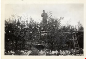 George Easthope in garden, 1938 thumbnail