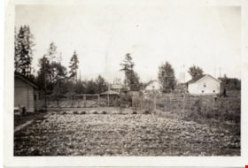 Easthope garden, [between 1940 and 1960] thumbnail