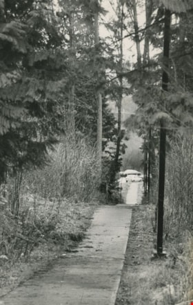 Trail through the woods of Stoney Creek School, ca.1980 thumbnail