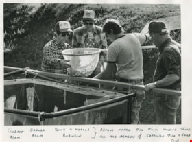 Removing netted fish from holding tanks - Members of Sapperton Fish and Game Club: Robert and Brenda Adam; Doug and Harold Robinson, 1983 thumbnail