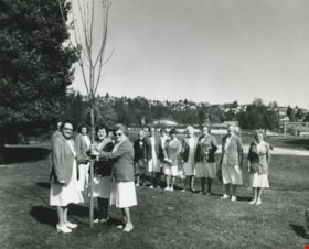 Nurses planting a tree, ca.1983 thumbnail