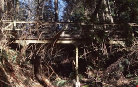 Walking bridge on Burnaby Mountain, [1995] thumbnail