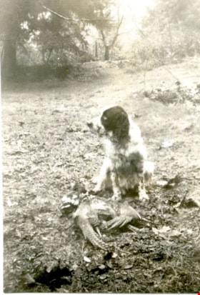 Duke with pheasant, [ca. 1950s] thumbnail
