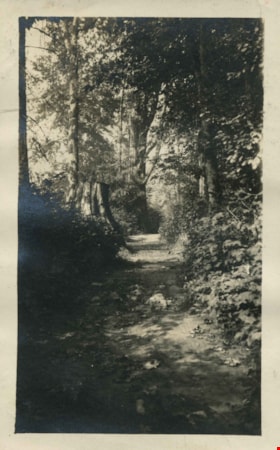 Frost's Road, 1923 thumbnail
