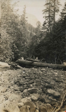 Yale Creek, [1930] thumbnail