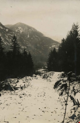 Road cleared through a forest, 1926 thumbnail