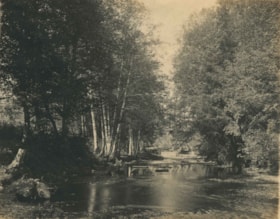 Brunette River, [1907] thumbnail