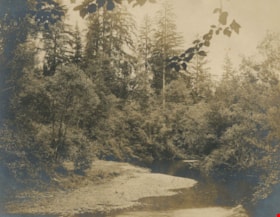 Brunette River, 1907] thumbnail