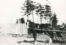Horse and wagon at D.C. Patterson's house, [1908] (date of original), copied 1986 thumbnail