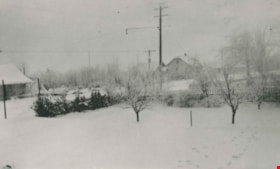 Morton family's backyard, [192-] (date of original), copied 1987 thumbnail