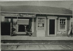 Thould's dinky store, [1930] (date of original), copied 1986 thumbnail