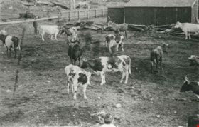 Cassidy Family on their Dairy Farm, [1912] (date of original), copied 1986 thumbnail
