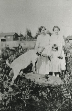 McMahon family, [1920] (date of original), copied 1986 thumbnail