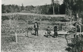 Gray Orchard, 1924 (date of original), copied 1986 thumbnail