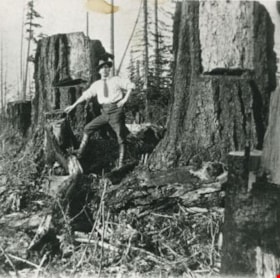 Ernie Carpenter clearing land, 1923 (date of original), copied 1986 thumbnail