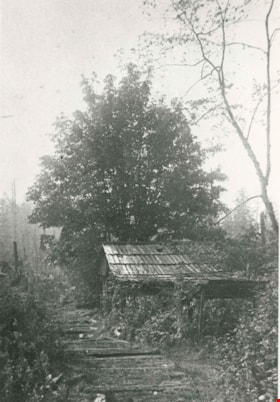 Logging skid road, 1911 (date of original), copied 1986 thumbnail