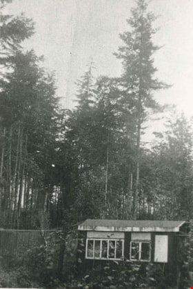 Jim Phillips' photography shack, 1912 (date of original), copied 1986 thumbnail
