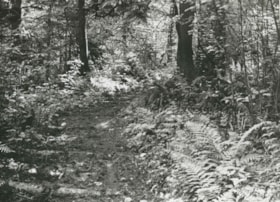 Trail to Shell installation, [1911] thumbnail