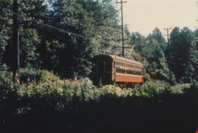 Burnaby Lake Interurban tram, October 1953 thumbnail