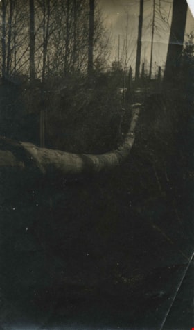 Log bridge, 1912 thumbnail