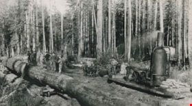 Gilley Brothers logging operation, [1895] thumbnail