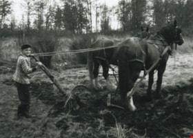 Horse-drawn plough, [1961 or 1962] thumbnail