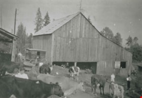 North Arm Dairy, [1905] thumbnail