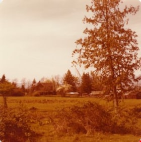 Lubbock's farm, 1977 thumbnail