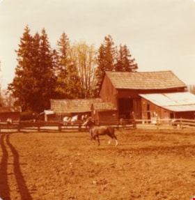 Lubbock's riding stable, 1977 thumbnail