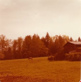Pasture at Lubbock's farm, 1977 thumbnail