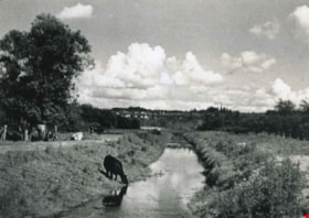 Still Creek, 1935 thumbnail