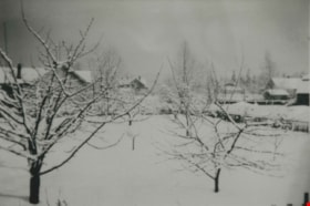 Snowy backyard, [193-?] (date of original), copied 1992 thumbnail