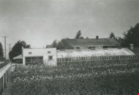 Orchid Greenhouse, 1950 (date of original), copied 1992 thumbnail