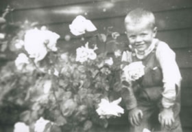 Small boy by a rosebush, [191-?] (date of original), copied 1992 thumbnail