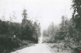 Royal Oak Avenue, [1930] (date of original), copied 1992 thumbnail