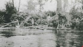 Fraser River, 1920 (date of original), copied 1992 thumbnail