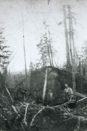 Frederick Thrussell and Peter Byrne by a fallen tree, [1893] thumbnail