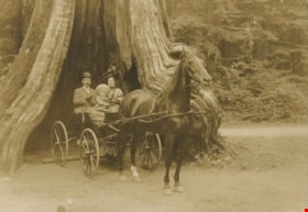 Johnson family at Stanley Park, [1909] thumbnail