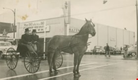Driving a horse-drawn buggy, June 14, 1956 thumbnail