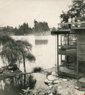 Deer Lake from the Baldwin House, 1966 thumbnail