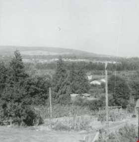 Looking east from Norland Avenue, 1958 (date of original), copied 1991 thumbnail
