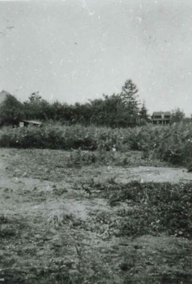 Field prior to construction, 1934 (date of original), copied 1991 thumbnail