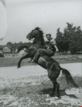 Dick Wirick on horseback, August 1, 1945 (date of original), copied 1991 thumbnail