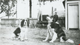 Bob Ellis and Dogs, [1942 or 1943] (date of original), copied 1991 thumbnail