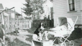 Ellis family dog, [1941] (date of original), copied 1991 thumbnail