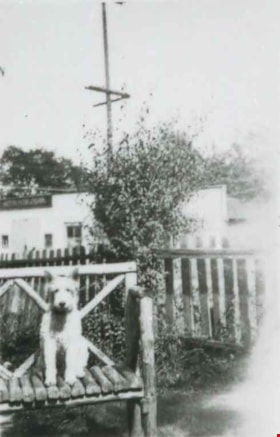 Dog in the yard, [193-] (date of original), copied 1991 thumbnail