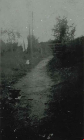 Douglas Road back lane, [192-] (date of original), copied 1991 thumbnail
