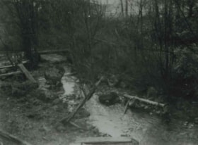 Deer Lake Brook, [1937 or 1938] (date of original), copied 1991 thumbnail