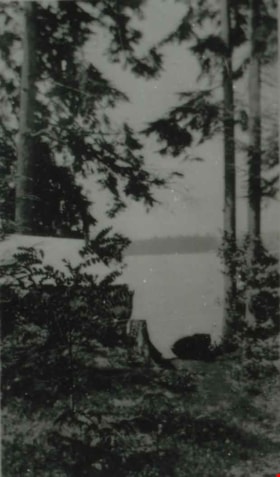 Deer Lake, [1914] (date of original), copied 1991 thumbnail